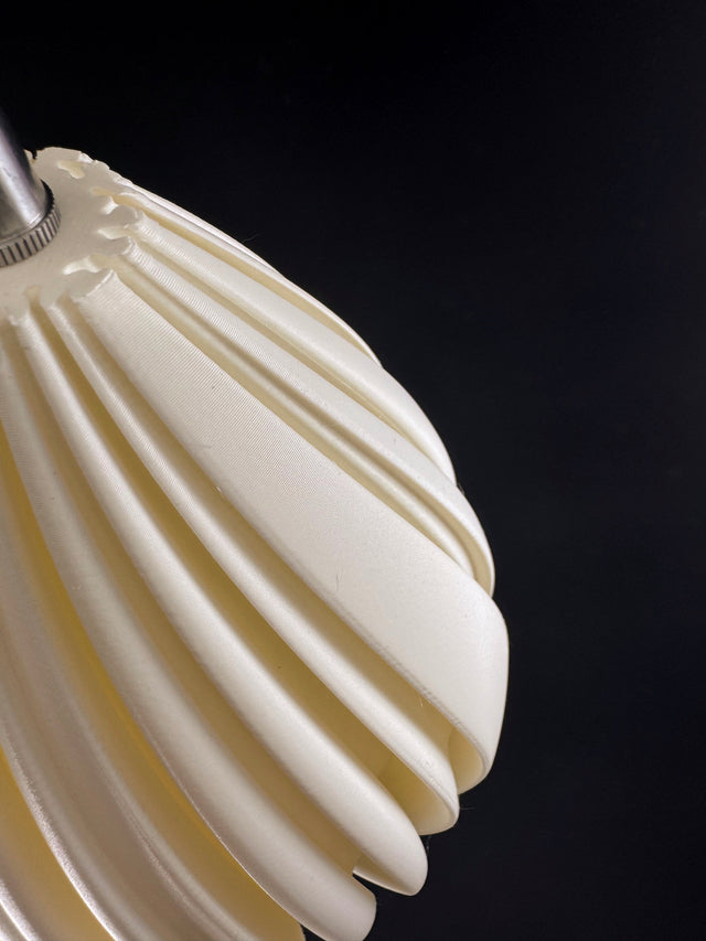 Mycelium Agaricus Spiral