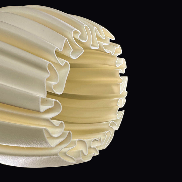 Mycelium Agaricus Spiral