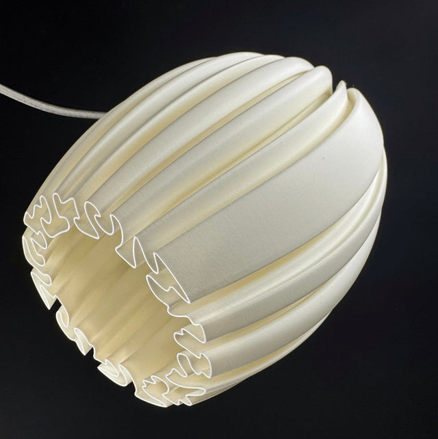 Mycelium Agaricus Spiral