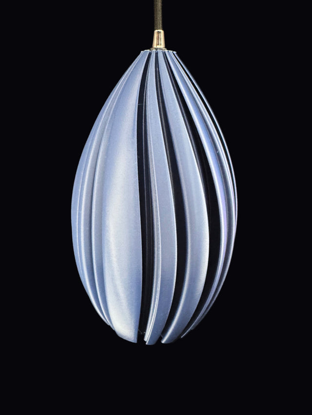 Mycelium Agaricus Spiral