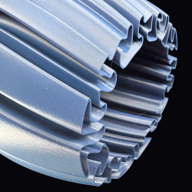 Mycelium Agaricus Spiral