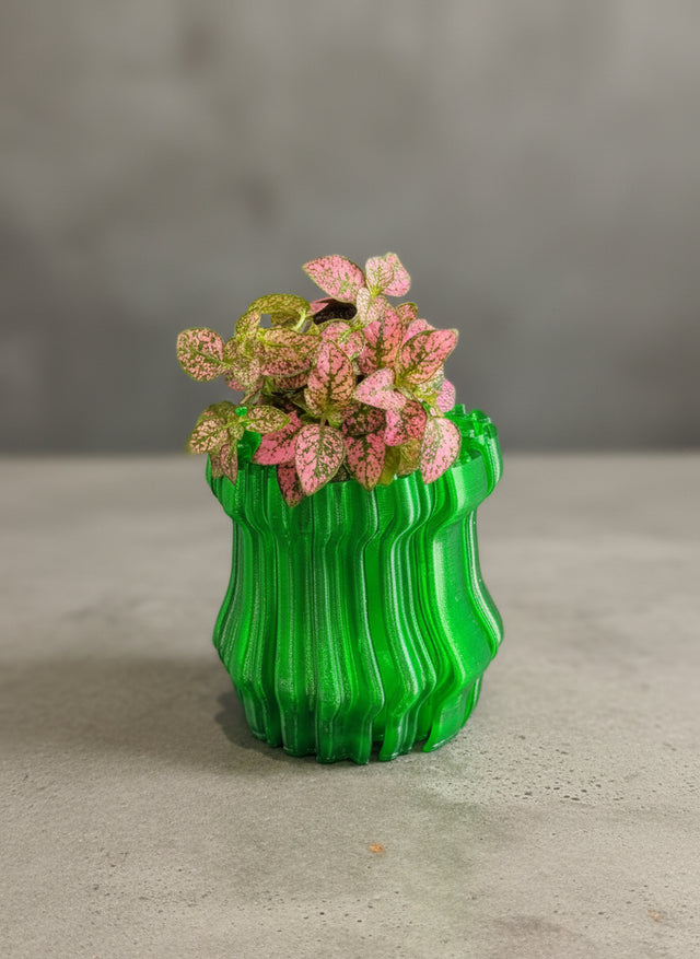 Small potted plant on a green wavy surface against a black background