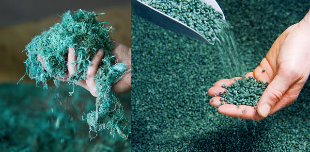 Limited Edition Collection