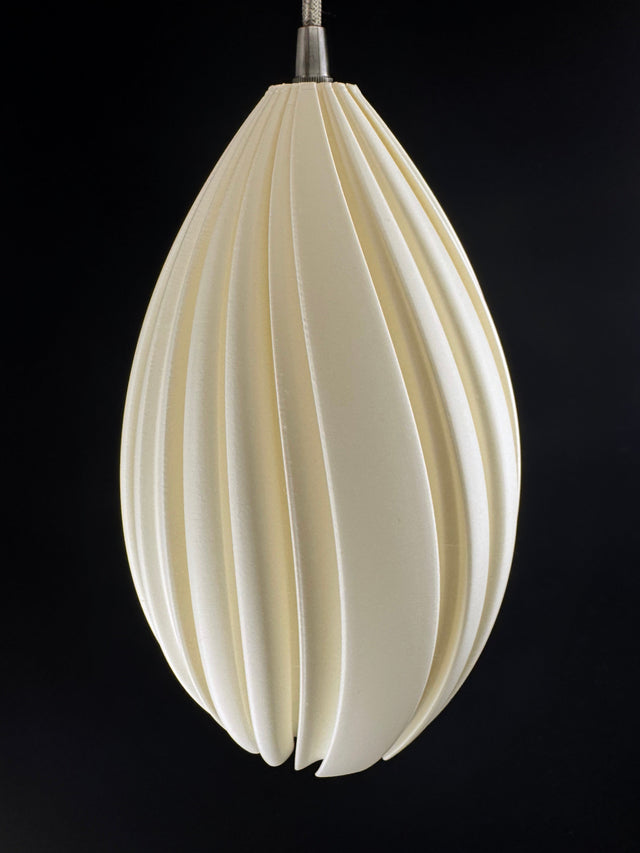 Mycelium Agaricus Spiral