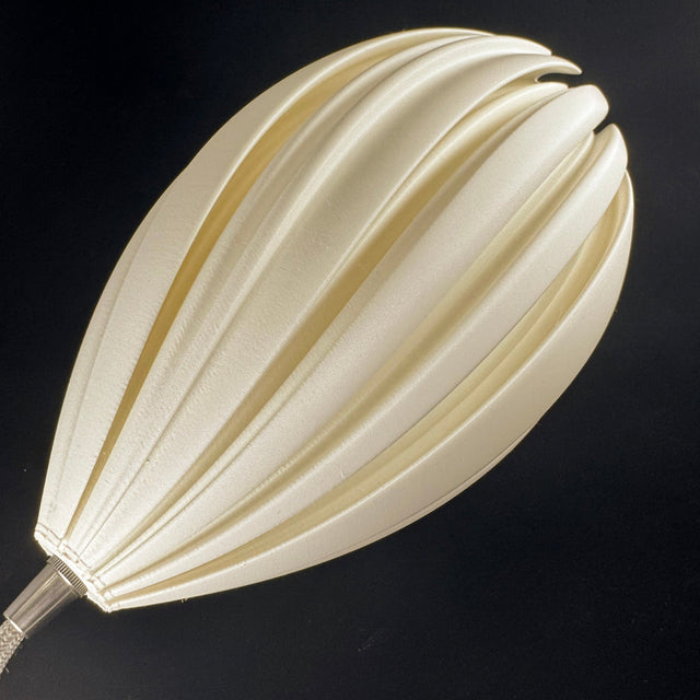 Mycelium Agaricus Spiral