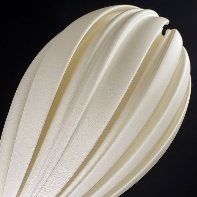 Mycelium Agaricus Spiral