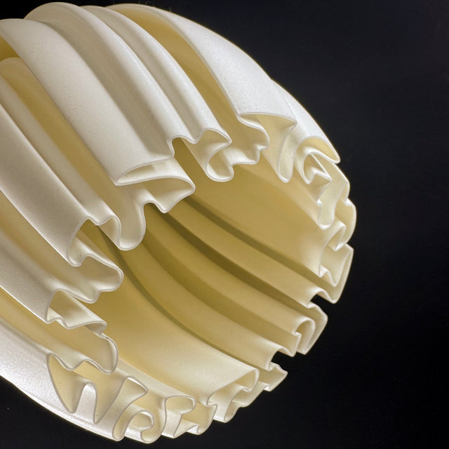 Mycelium Agaricus Spiral