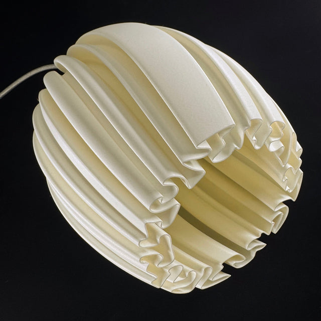 Mycelium Agaricus Spiral