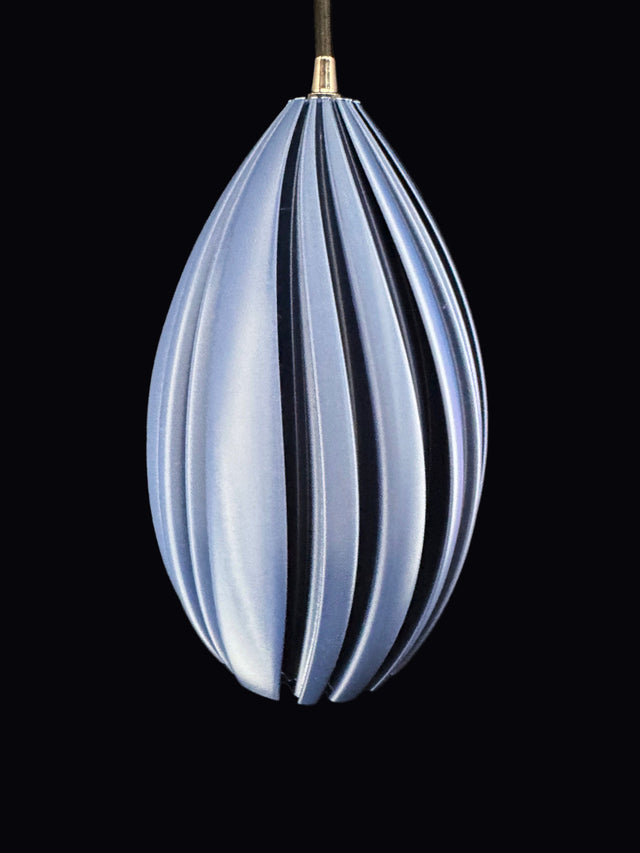 Mycelium Agaricus Spiral