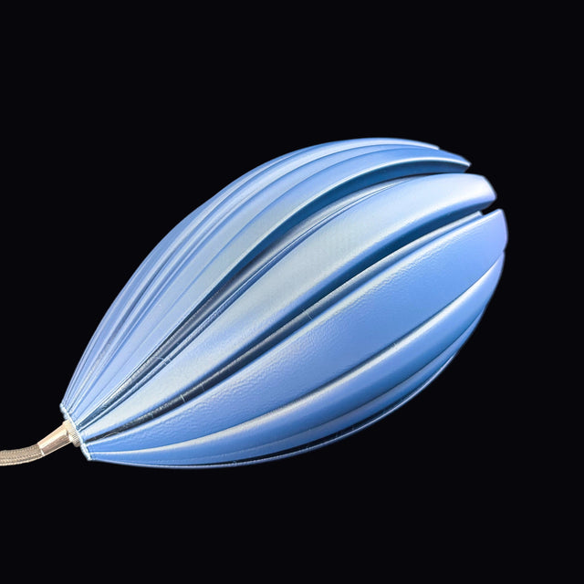 Mycelium Agaricus Spiral