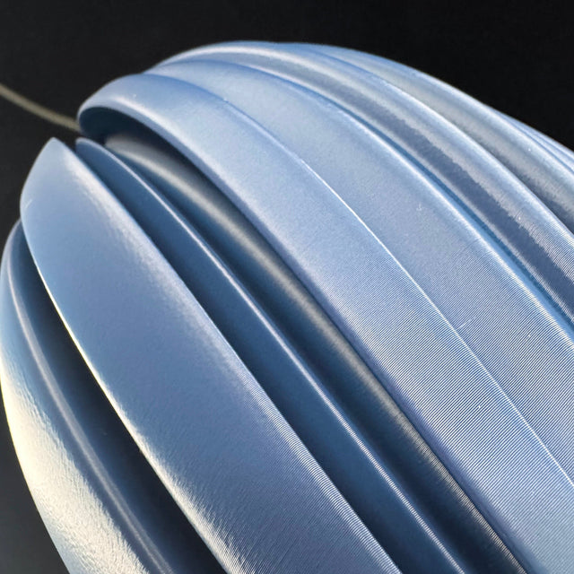 Mycelium Agaricus Spiral